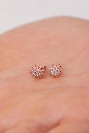 Heliophilia Silver Pendientes de Plata de Ley 925 Rosa ELKMD50590R
